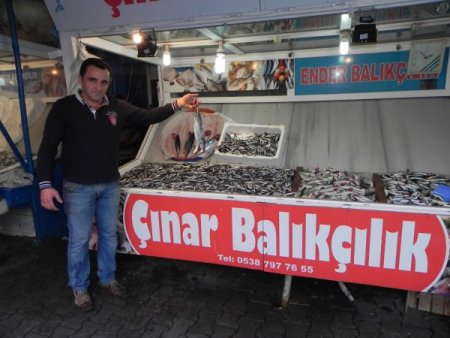 Balık fiyatları cep yakıyor