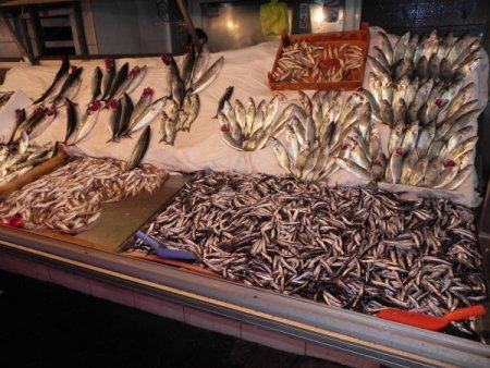 Balık fiyatları cep yakıyor