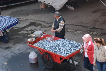 Balık Sezonu İle Tezgâhlar Balıkla Dolarken, Birçok Kişi De İş İmkanına Kavuştu