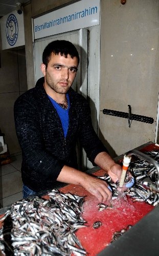 Balık temizliğinden kazandıkları parayla geçiniyorlar