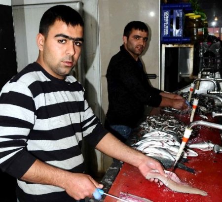 Balık temizliğinden kazandıkları parayla geçiniyorlar