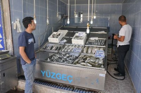 Balık Tezgahları Şenlendi