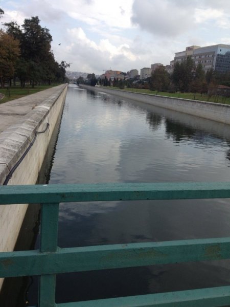 Balık tutkunları Haliç’in geleceğinden umutlu (Özel)