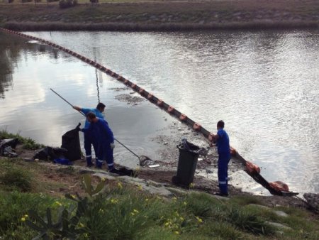 Balık tutkunları Haliç’in geleceğinden umutlu (Özel)
