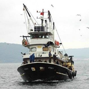 Balık Varlığını Korumak İçin Karadeniz’de Balıkçı Gemileri Azaltılıyor