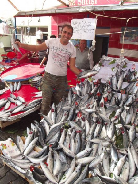 Balıkçı tezgahlarında palamut bolluğu