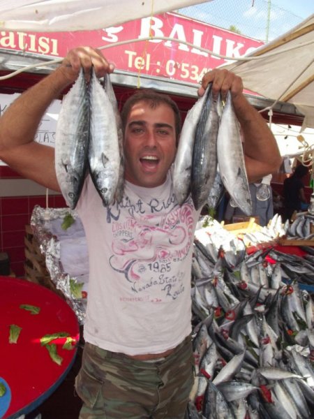 Balıkçı tezgahlarında palamut bolluğu