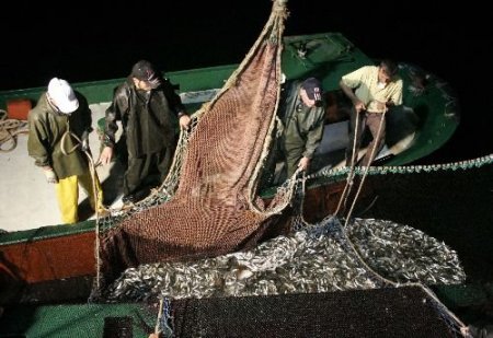 Balıkçılar, Yeni Av Sezonunda Umduklarını Bulamadı