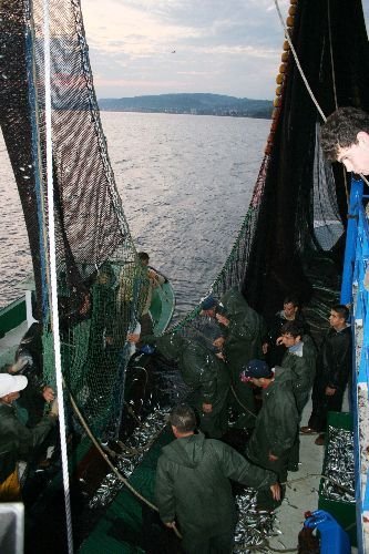 Balıkçılar, Yeni Av Sezonunda Umduklarını Bulamadı