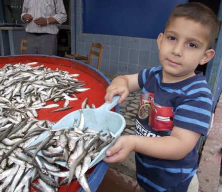 Balıkçılar Av Yasağının Kalkmasıyla Çifte Bayram Yapacak