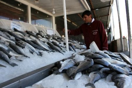Balıkçılar Yeni Sezonu Bekliyor