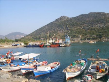 Balıkçılara Yat Limanı İçin Eylül Sonuna Kadar Süre Verildi
