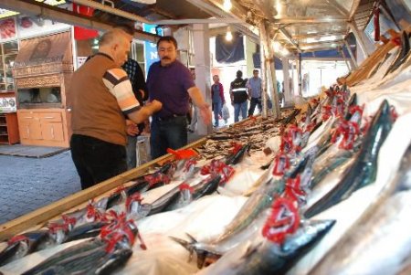 Balıkçıya Göre Balık Fiyatları Uygun, Vatandaşa Göre Yüksek