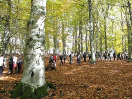 Balıkesir Üniversitesi öğrencileri Çobandede'de zirve yaptı