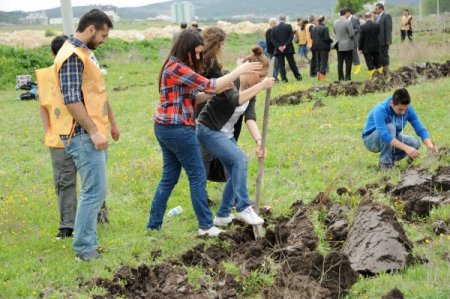 Balıkesir Üniversitesi'nde Her Öğrenciye Bir Fidan Projesi