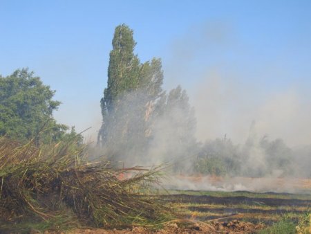 Balıkesir'de Anız Yangını: 47 Dönüm Tahıl Tarlası Kül Oldu