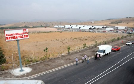 Balıkesir'de küçükbaş kurbanlık satışı için yer kiralama başlıyor