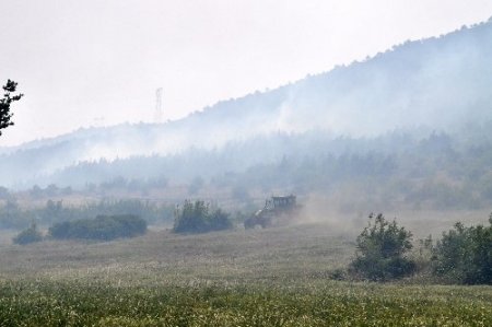 Balıkesir'de şiddetli rüzgar orman yangınına sebep oldu