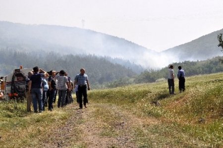Balıkesir'de şiddetli rüzgar orman yangınına sebep oldu