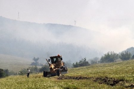 Balıkesir'de şiddetli rüzgar orman yangınına sebep oldu
