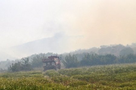 Balıkesir'de şiddetli rüzgar orman yangınına sebep oldu