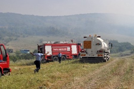 Balıkesir'de şiddetli rüzgar orman yangınına sebep oldu