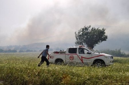 Balıkesir'de şiddetli rüzgar orman yangınına sebep oldu
