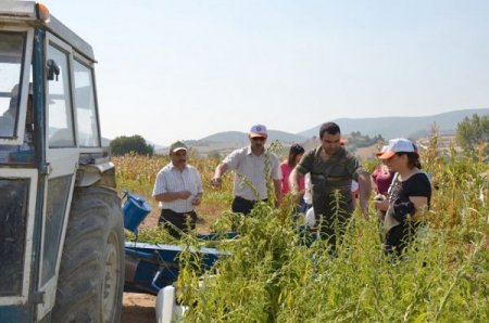 Balıkesir'de susam yetiştiricilerine eğitim verildi
