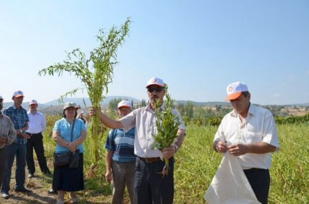 Balıkesir'de susam yetiştiricilerine eğitim verildi
