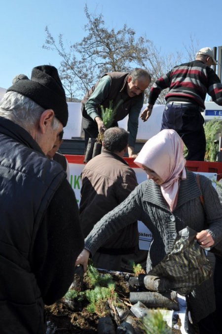 Balıkesir'de Vatandaşlara 5 Günde 400 Bin Fidan Dağıtılacak