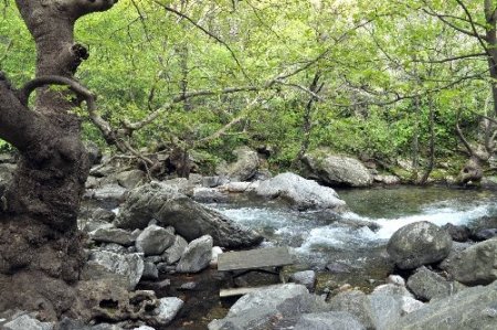 Balıkesir'deki gazeteciler Kazdağları'nın zirvesine çıktı