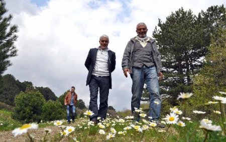 Balıkesir'deki gazeteciler Kazdağları'nın zirvesine çıktı