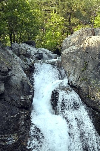 Balıkesir'deki gazeteciler Kazdağları'nın zirvesine çıktı