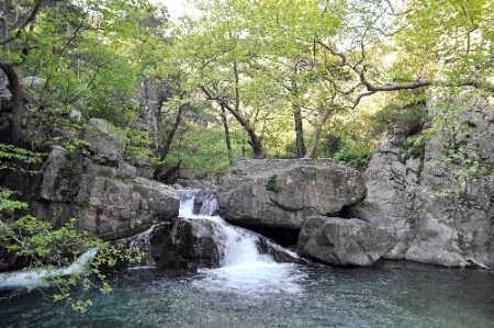 Balıkesir'deki gazeteciler Kazdağları'nın zirvesine çıktı