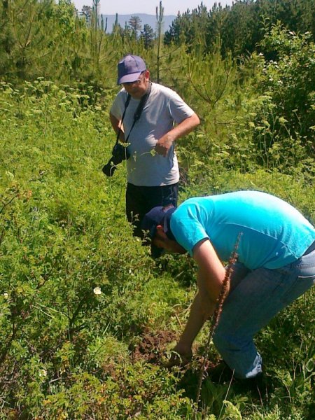 Balıkesir'deki Ulus Dağı'nın Florası Çıkarılıyor
