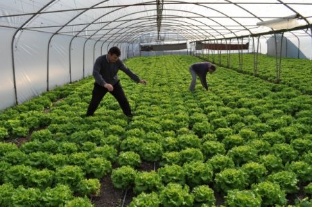Balıkesir'in mahalle olacak en büyük köyü büyükşehire hazır