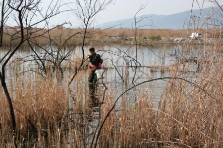 Balıkesir'in Zeytinli Beldesinde Sirisinek Mücadelesine Başlandı