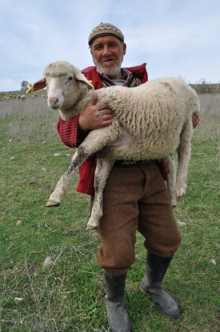 Balıkesirli çobanlardan üniversiteli çoban projesine destek