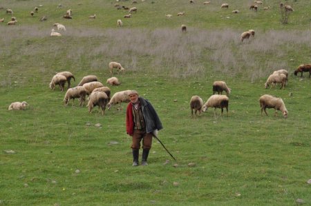 Balıkesirli çobanlardan üniversiteli çoban projesine destek