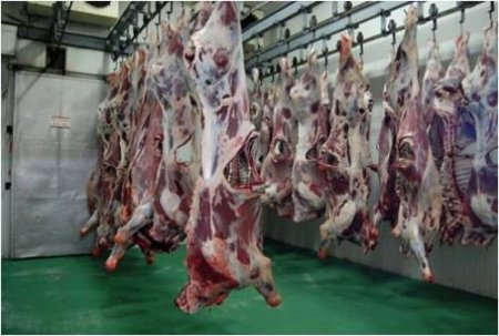 Balıkesirli Et Üreticileri: İthalatta Denge Sağlanamazsa Tsunami Olur