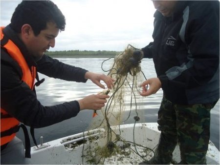 Balıkların yumurtlama döneminde gölden metrelerce ağ toplandı