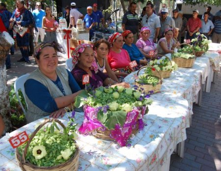 Bamya üreticileri yarıştı