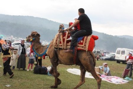 Banaz, Yörük Şenliği'ne hazırlanıyor