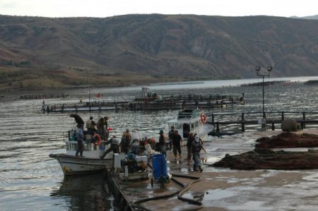 Baraj gölünde kurduğu kafeste alabalık üretimi yapıyor