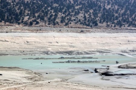 Baraj gölünde yetiştirilen 500 bin balık telef oldu