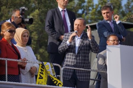 Başbakan Erdoğan: Bu eylemlere son verilmesini özellikle rica ediyorum