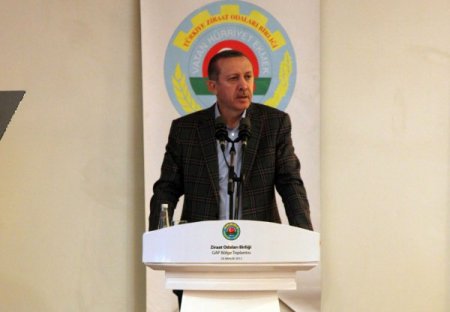 Başbakan Erdoğan: GAP ile bölge ihracatı 10 kat arttı