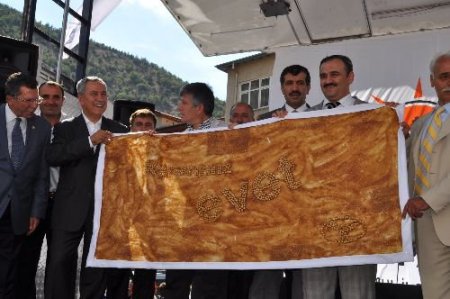 Başbakan Yardımcısı Arınç: Terör Örgütünü Muhatap Almak En Büyük Zillettir