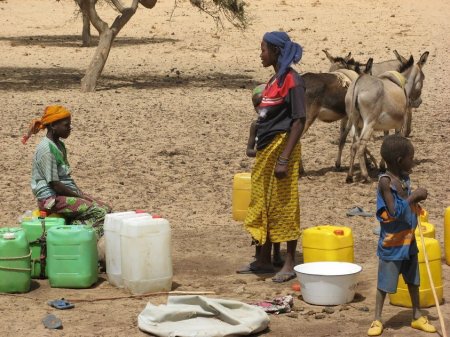 Başbakan'ın işaret ettiği Afrikalı kadınların yaşam mücadelesi
