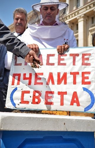 Başbakanlık binası önünde arılı eylem